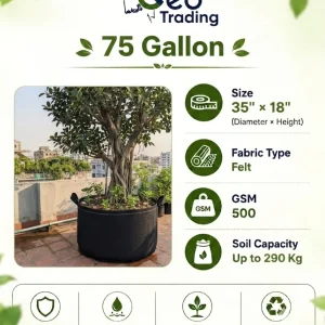 75 Gallon (500 GSM)