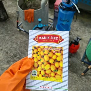 চেরে টমেটো (Yellow)