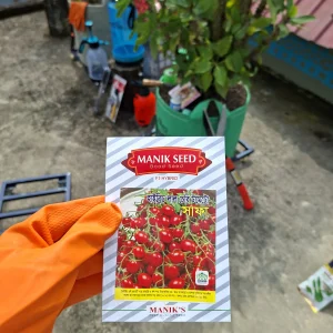 চেরি টমেটো (Red)
