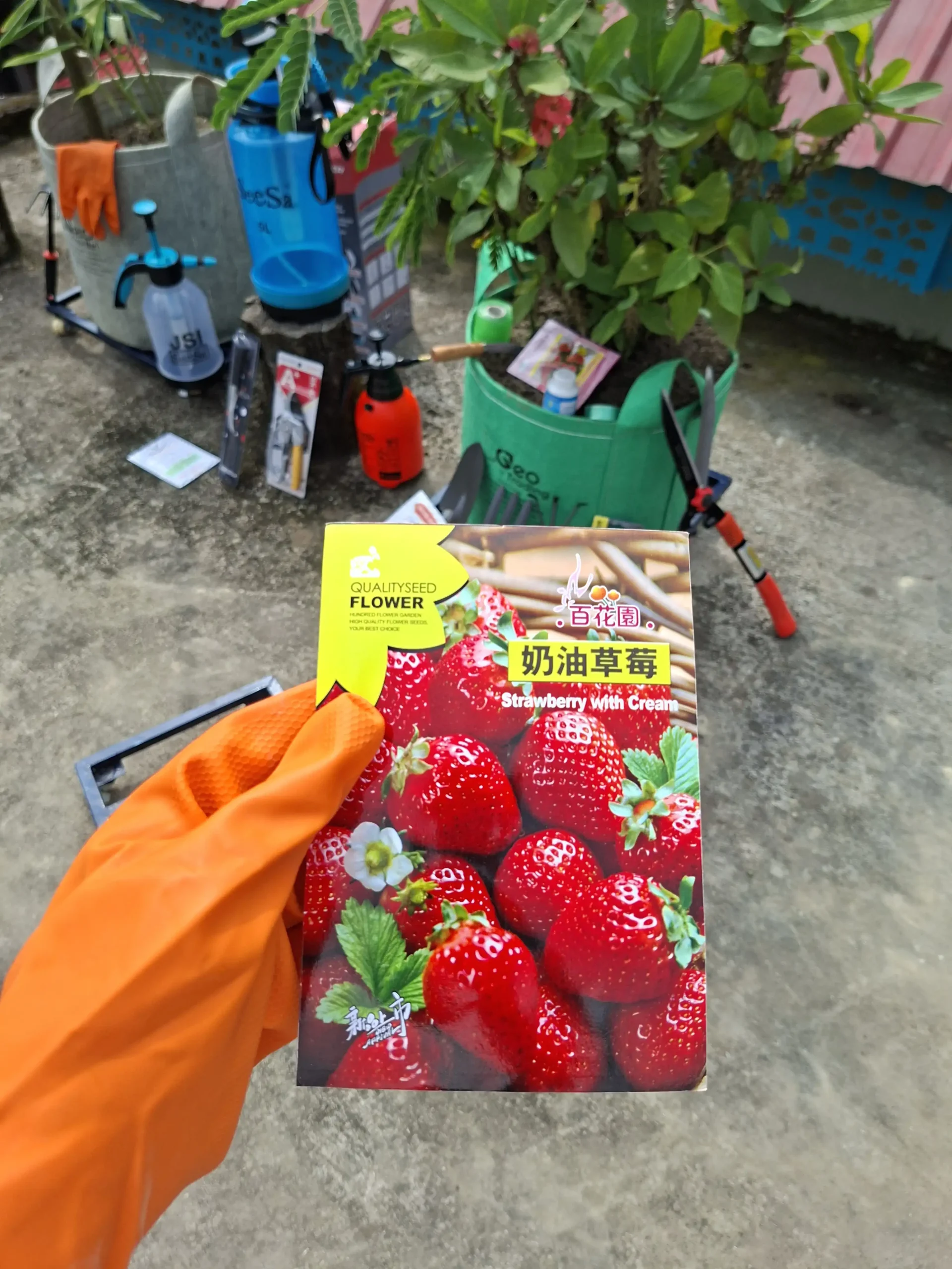 Strawberry