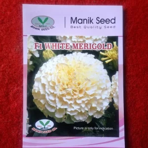 Marigold (White)