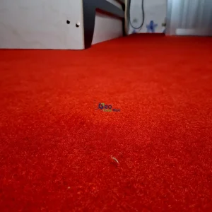 High-Quality Red Velour Carpet 700 GSM (স্কয়ার ফুট)
